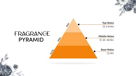 beginners guide to fragrance.